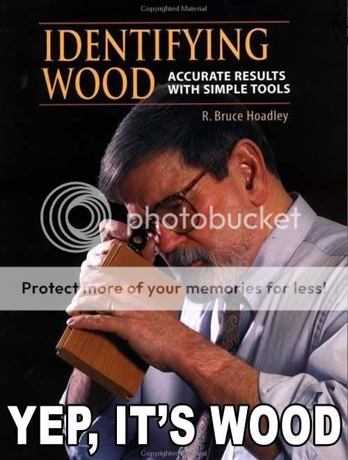 yep-its-wood.jpg