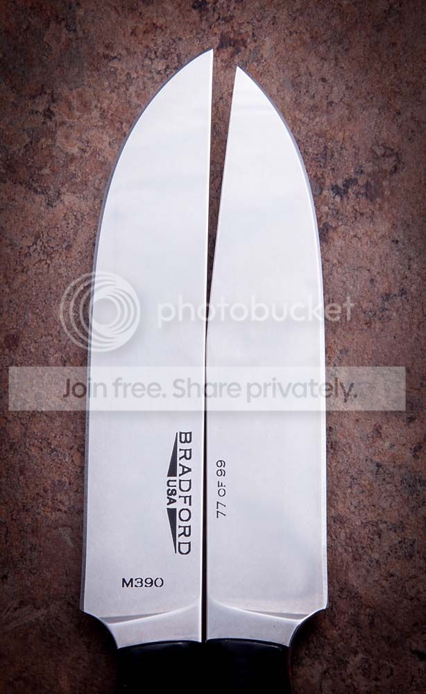 IMG_4911.jpg~original