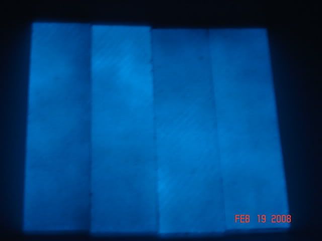 DSC01845.jpg