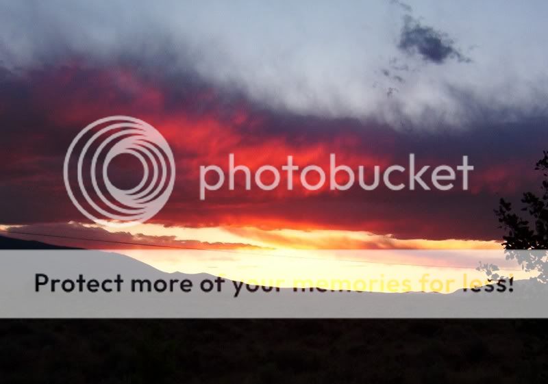 Sunset7205.jpg