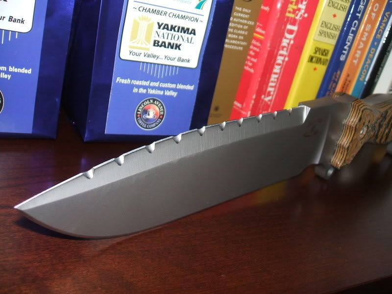 2006_0205Image0001.jpg