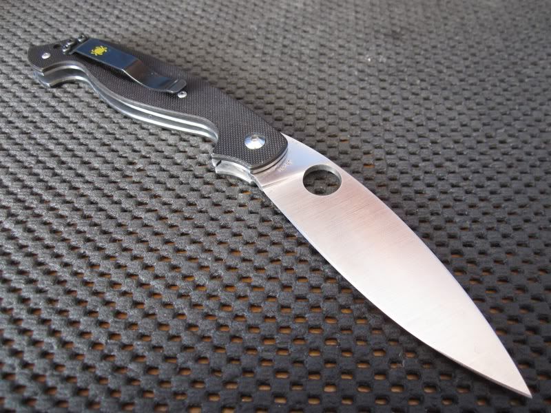 scaledIMG_1479.jpg