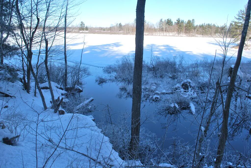 DSC_0171.jpg