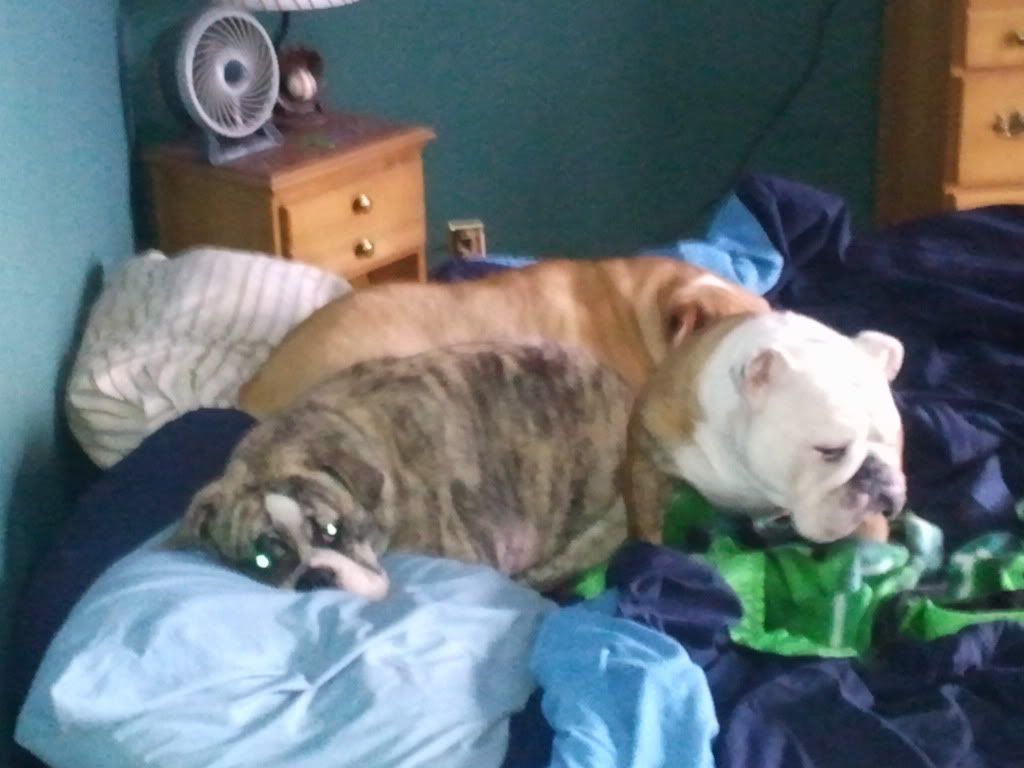 2012-01-20121038.jpg