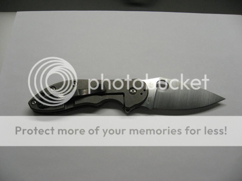 IMG_3100_zps31740bee.jpg