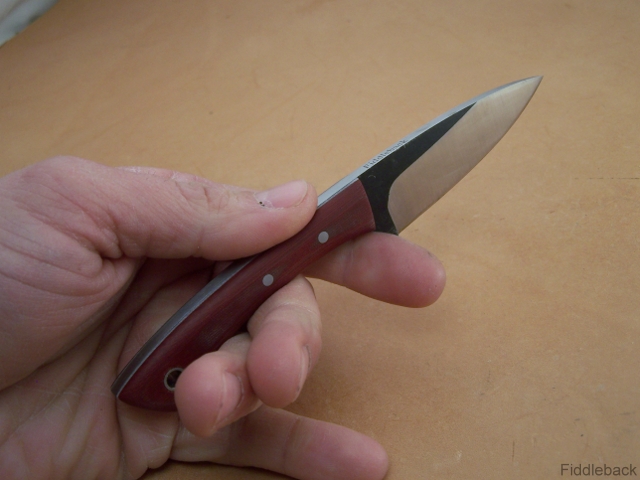 ej102_1536-vi.jpg
