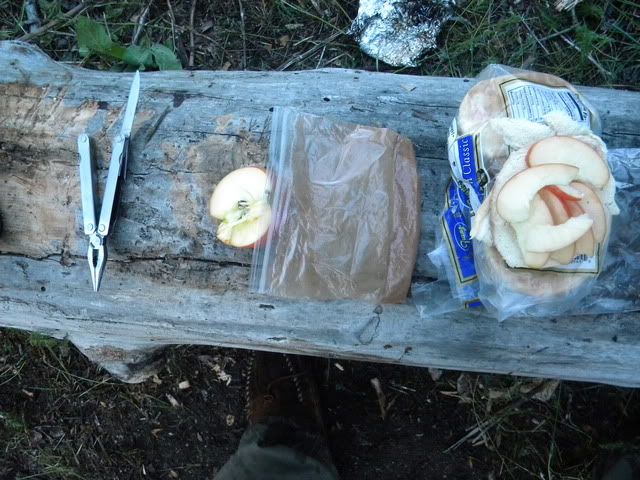 DSCN4003.jpg
