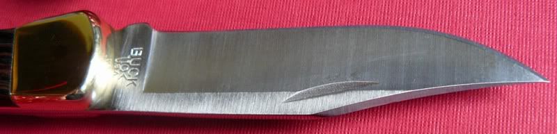 06-25-2010113.jpg