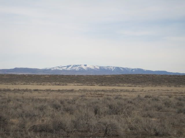 IMG_0121.jpg