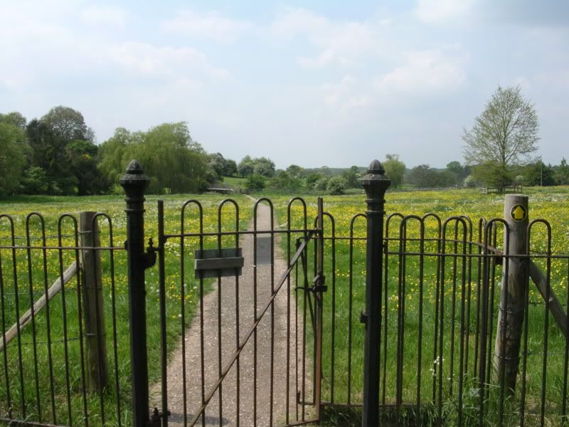 DSCN0919.jpg