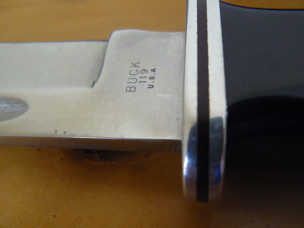 P1050107.jpg