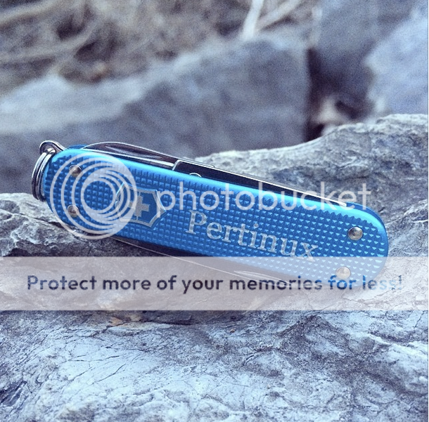 pertinuxblue.png~original