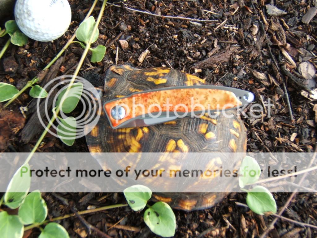 DSCF1230.jpg