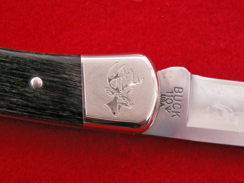 Whitetailfrontleftbolster.jpg