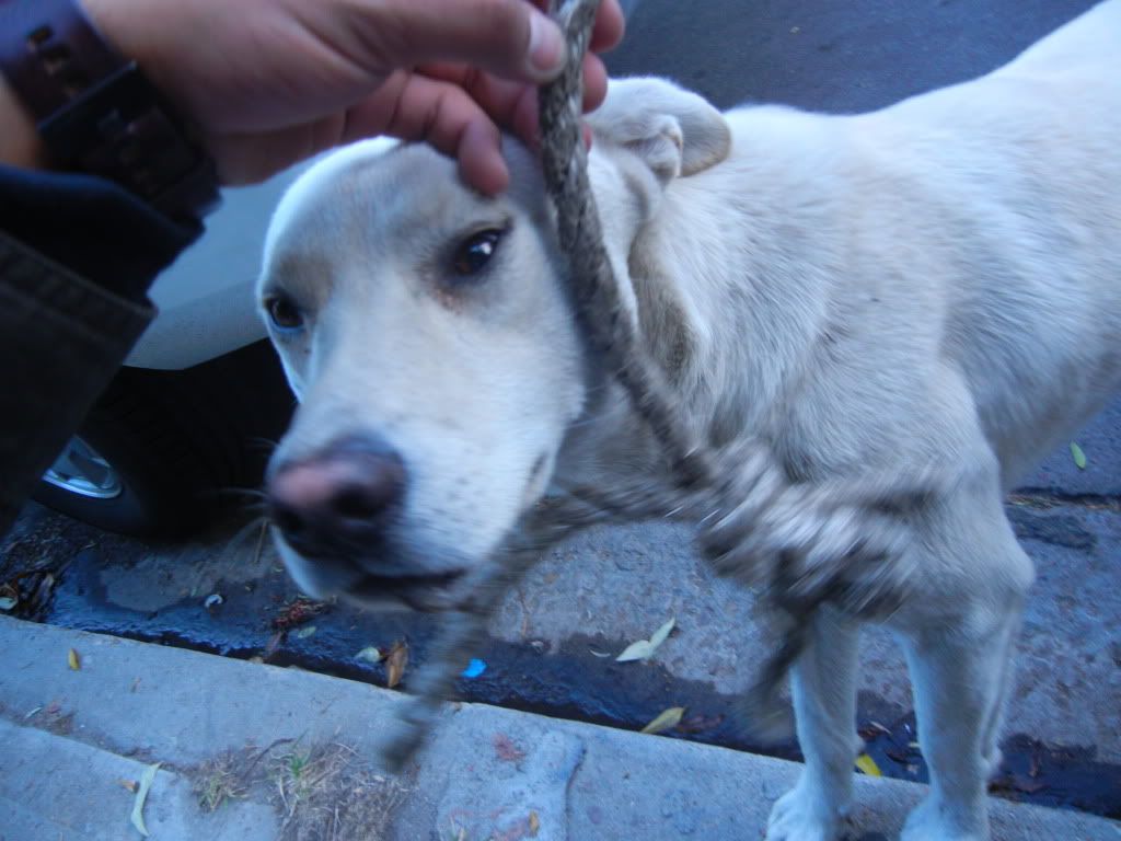 DSCN1690.jpg