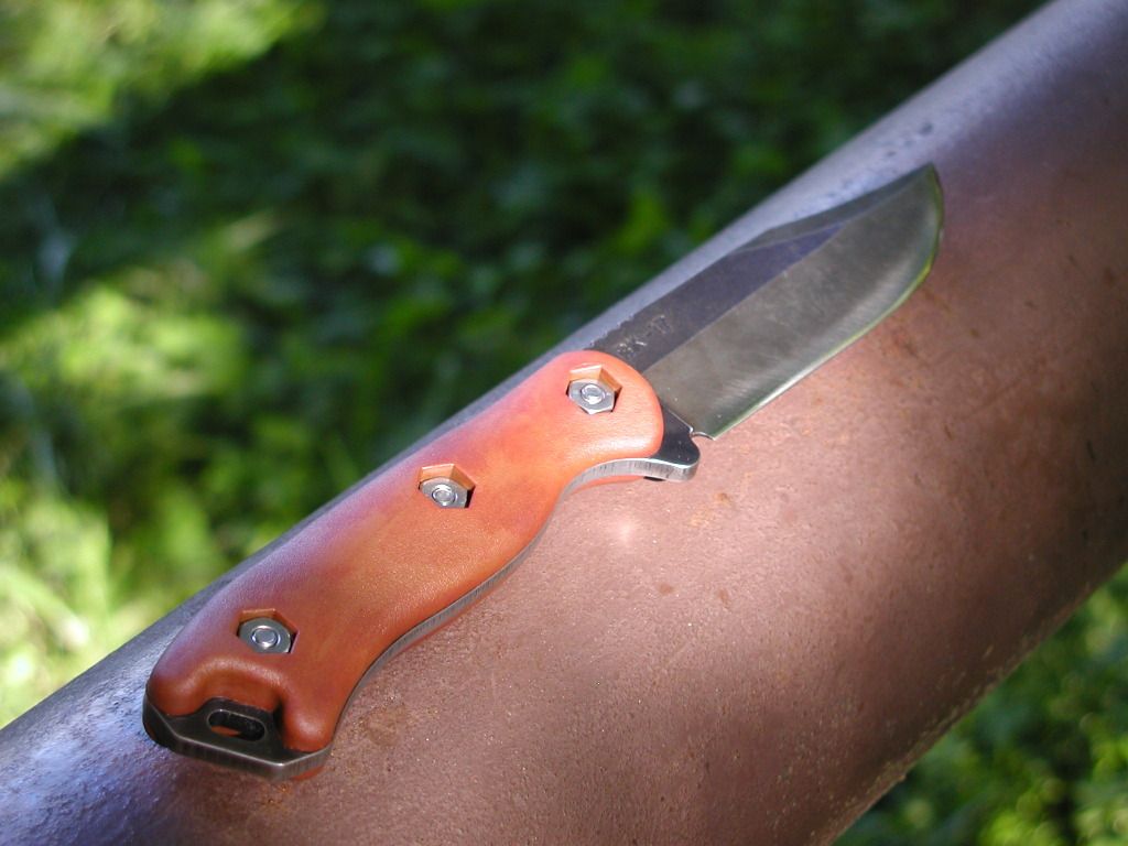 BK17dyedscales3.jpg