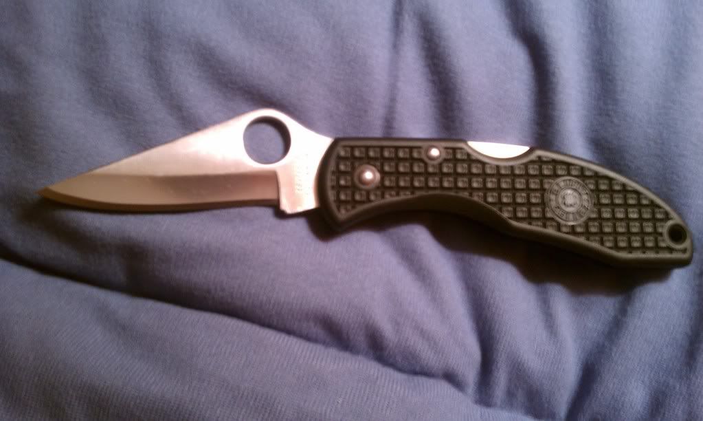 Delica1.jpg