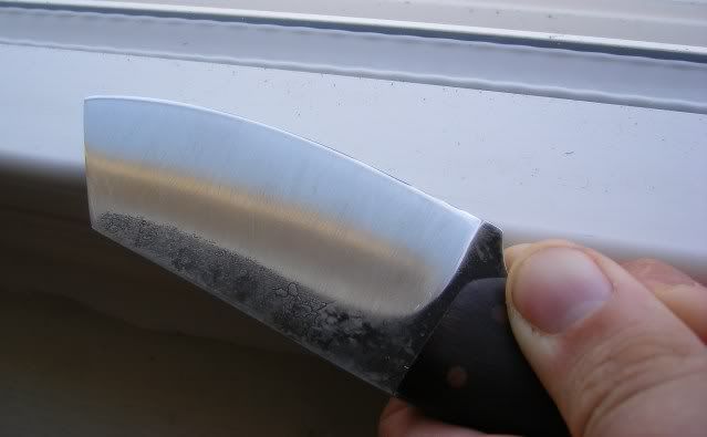 Snubnoseposthvac019.jpg