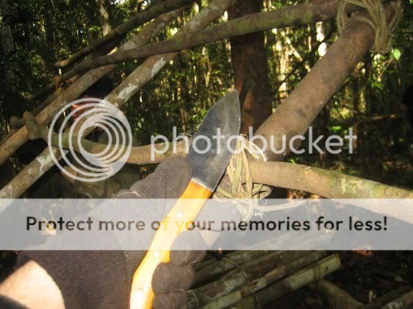 JungleDay2097.jpg