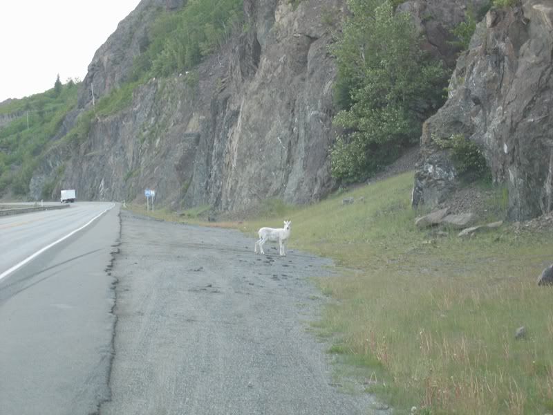 dallhwy3.jpg