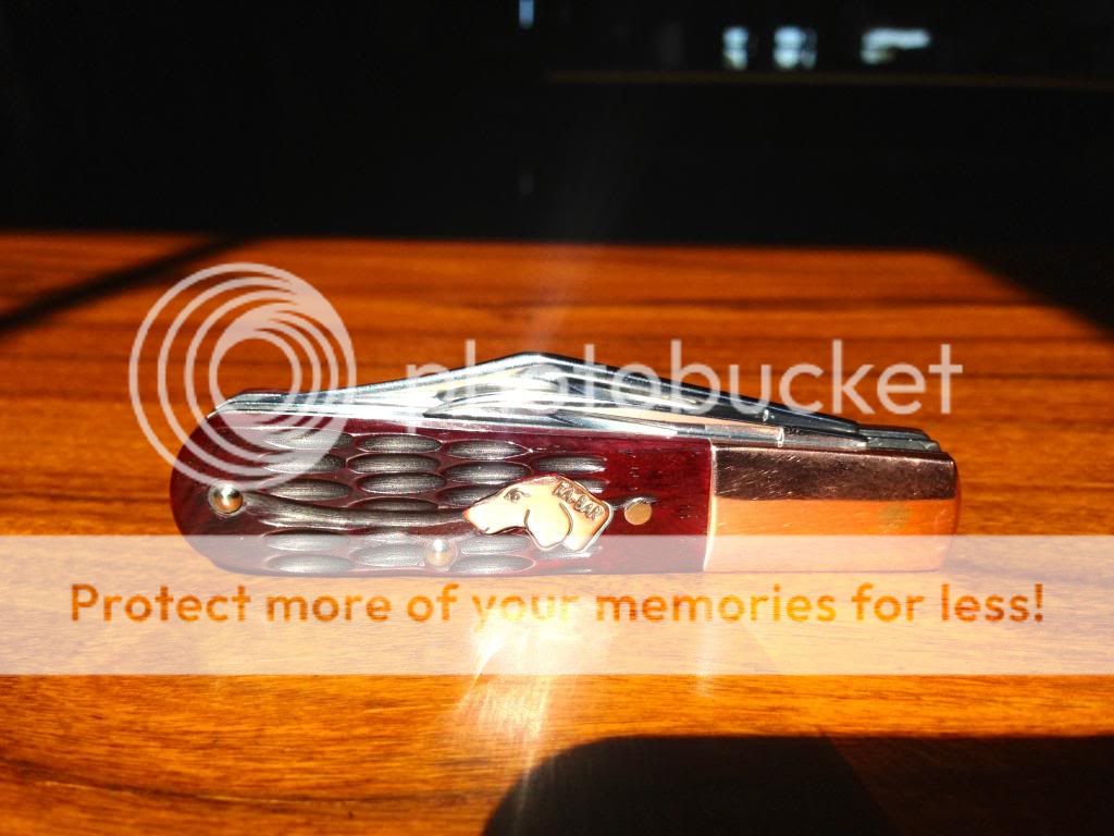 IMG_0066_zps05291bf4.jpg