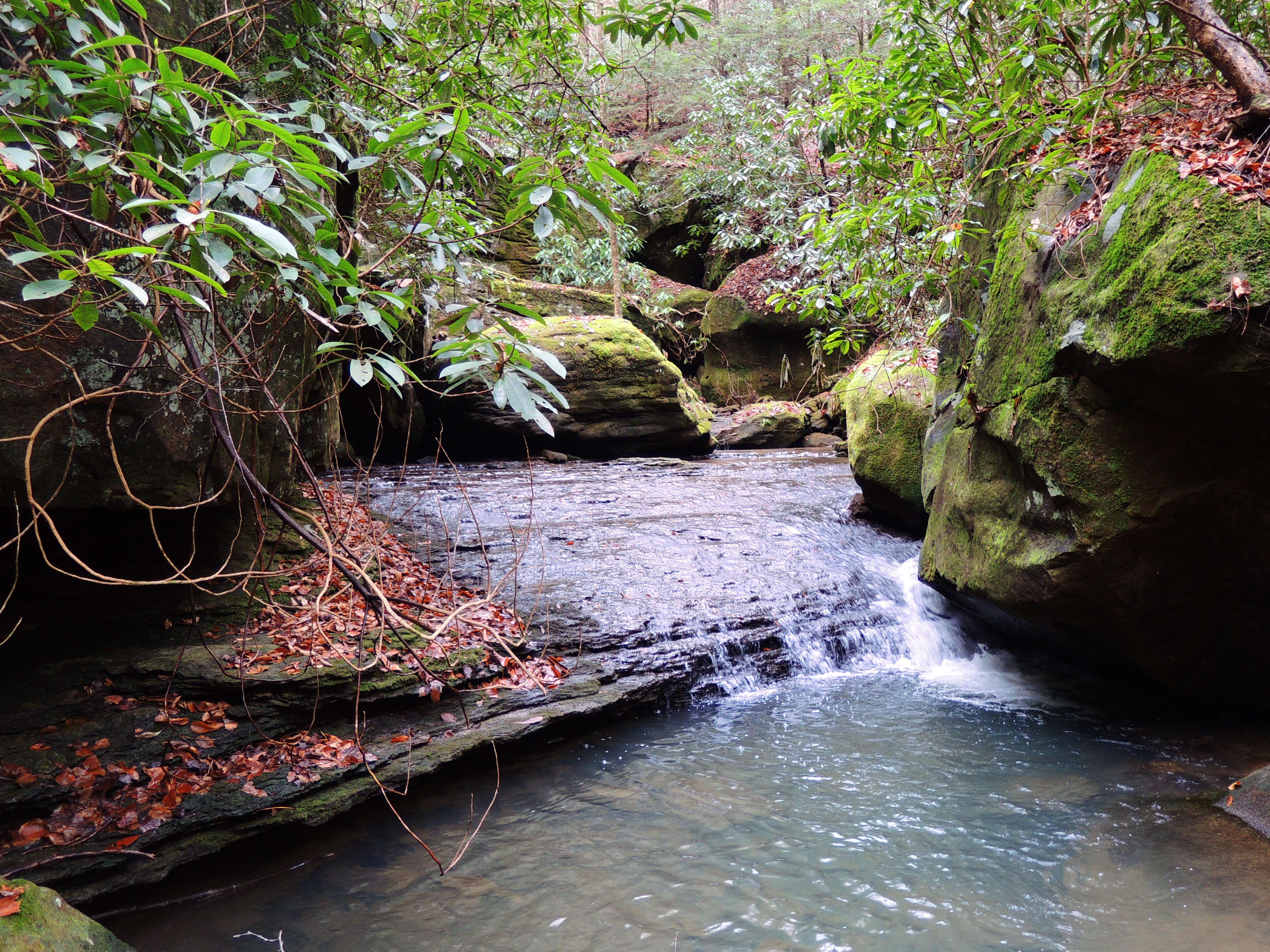 dscn4997s.jpg