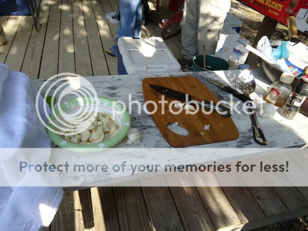 DSC00595_zps8112aeb1.jpg