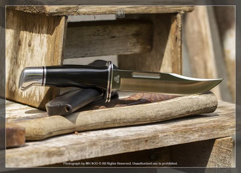 BUCK11902.jpg