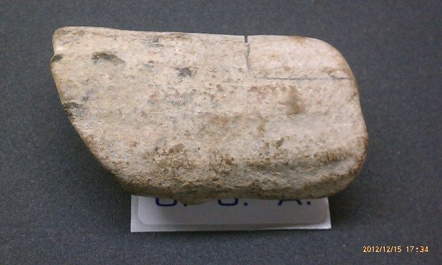 IMAG2688.jpg