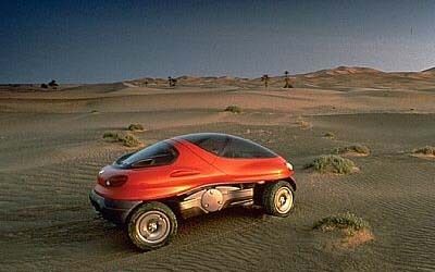 renault_racoon_002.jpg