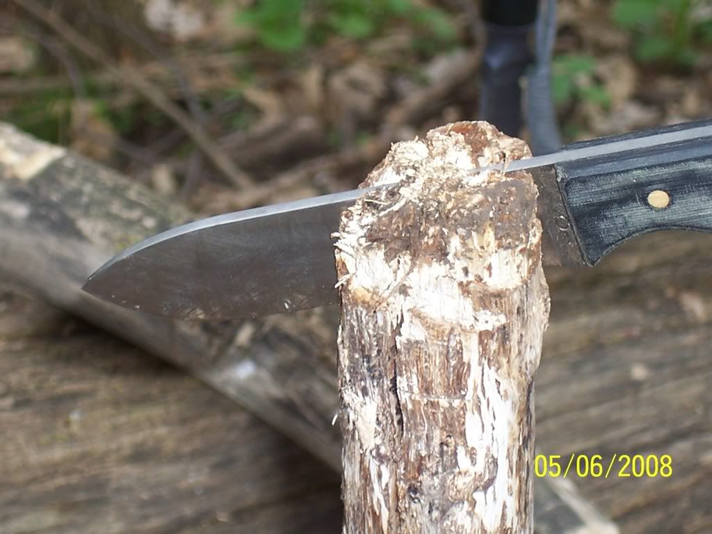 Passaroundandothers079.jpg
