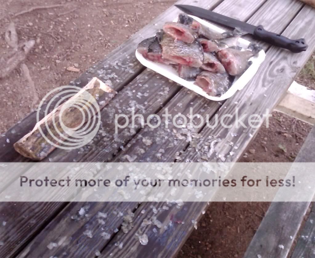 20110611_p09.jpg