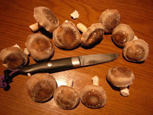 2010.11.21.R0022558.JPG