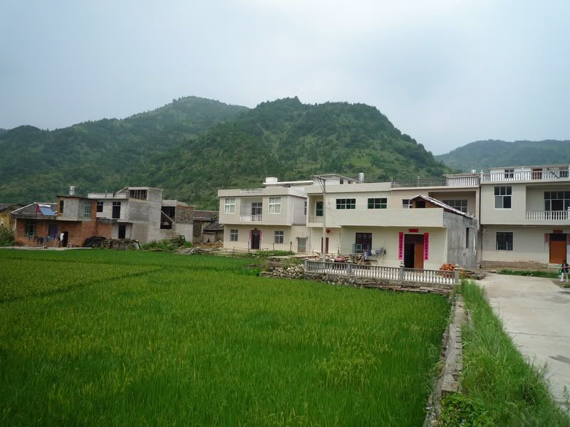 P1000950.jpg