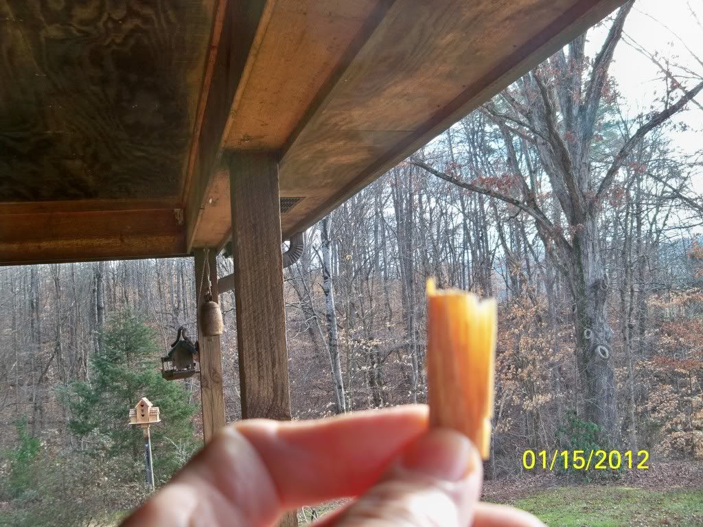 2012-01-15083.jpg