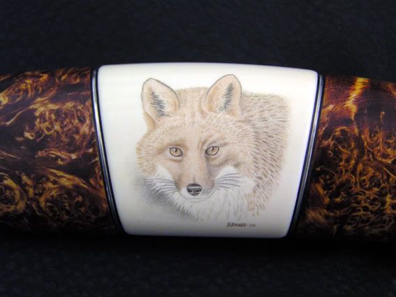 Foxback220.jpg