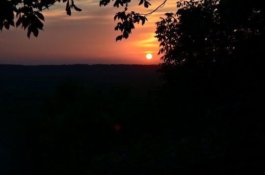 DSC_2728.jpg
