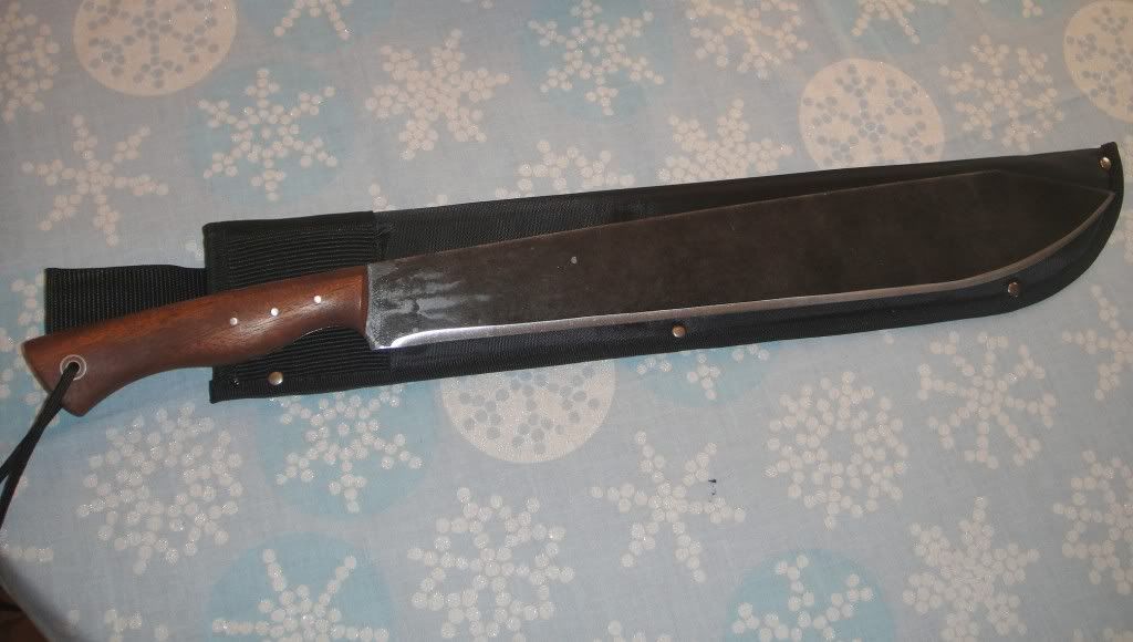 m1.jpg