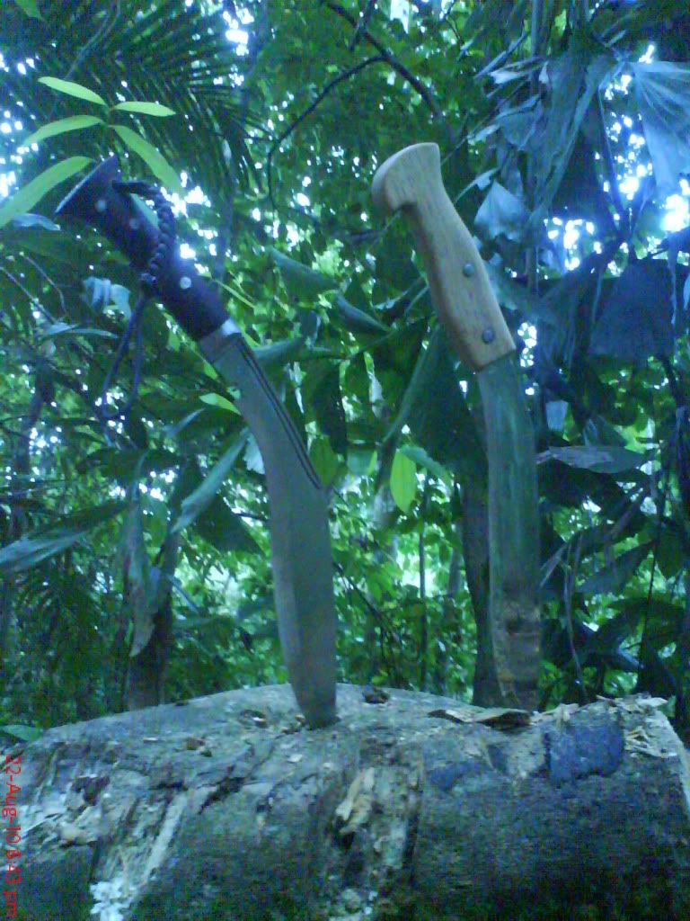 DSC01573.jpg