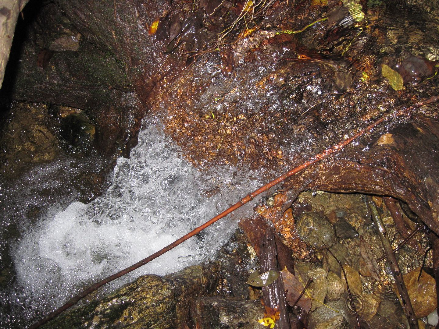 IMG_0489.jpg