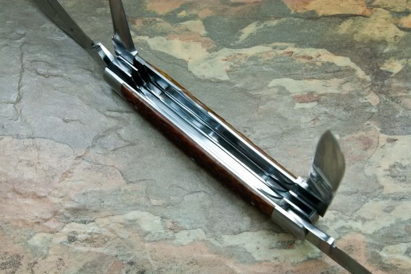 5blade5.jpg