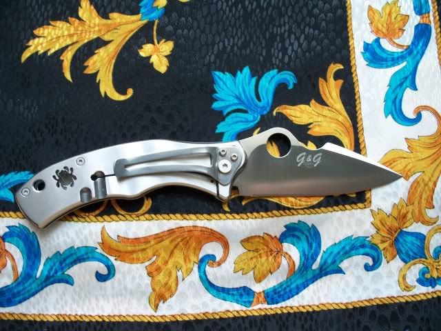SpydercoVolpeClip.jpg