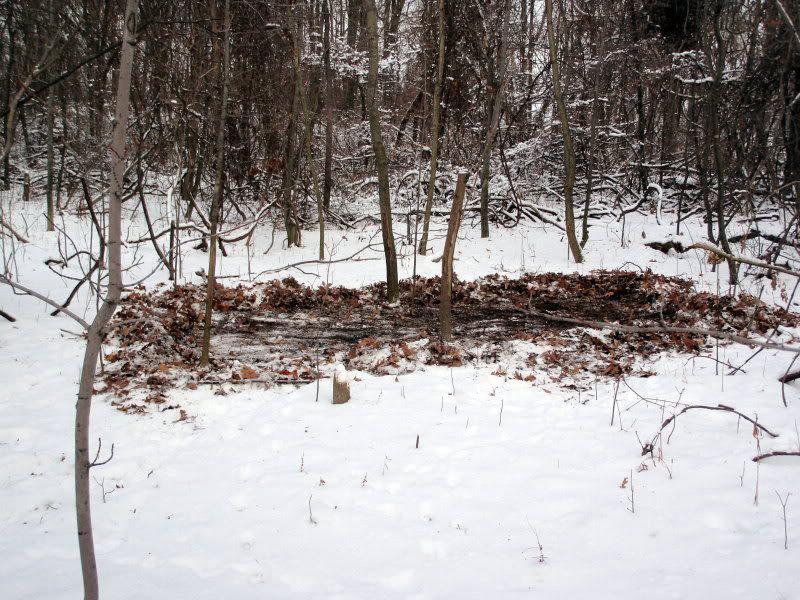 PC160014.jpg