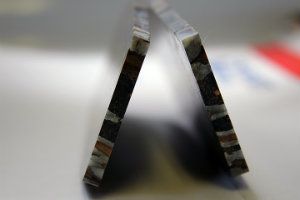 IMG_8785.jpg