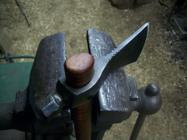 100_5597.jpg