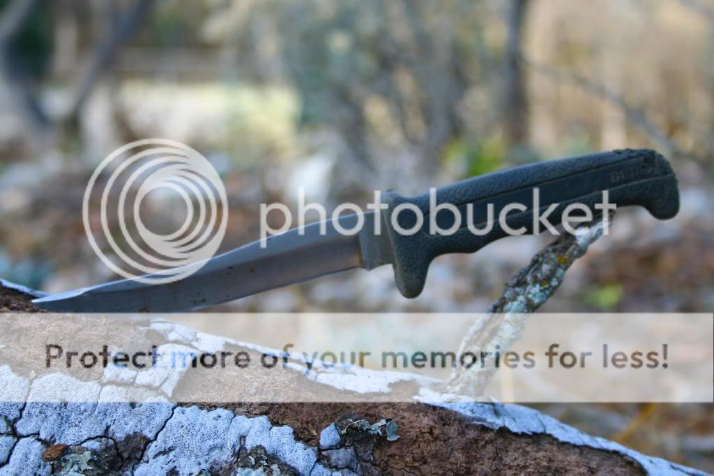 1stBuck_zps903b74c9.jpg
