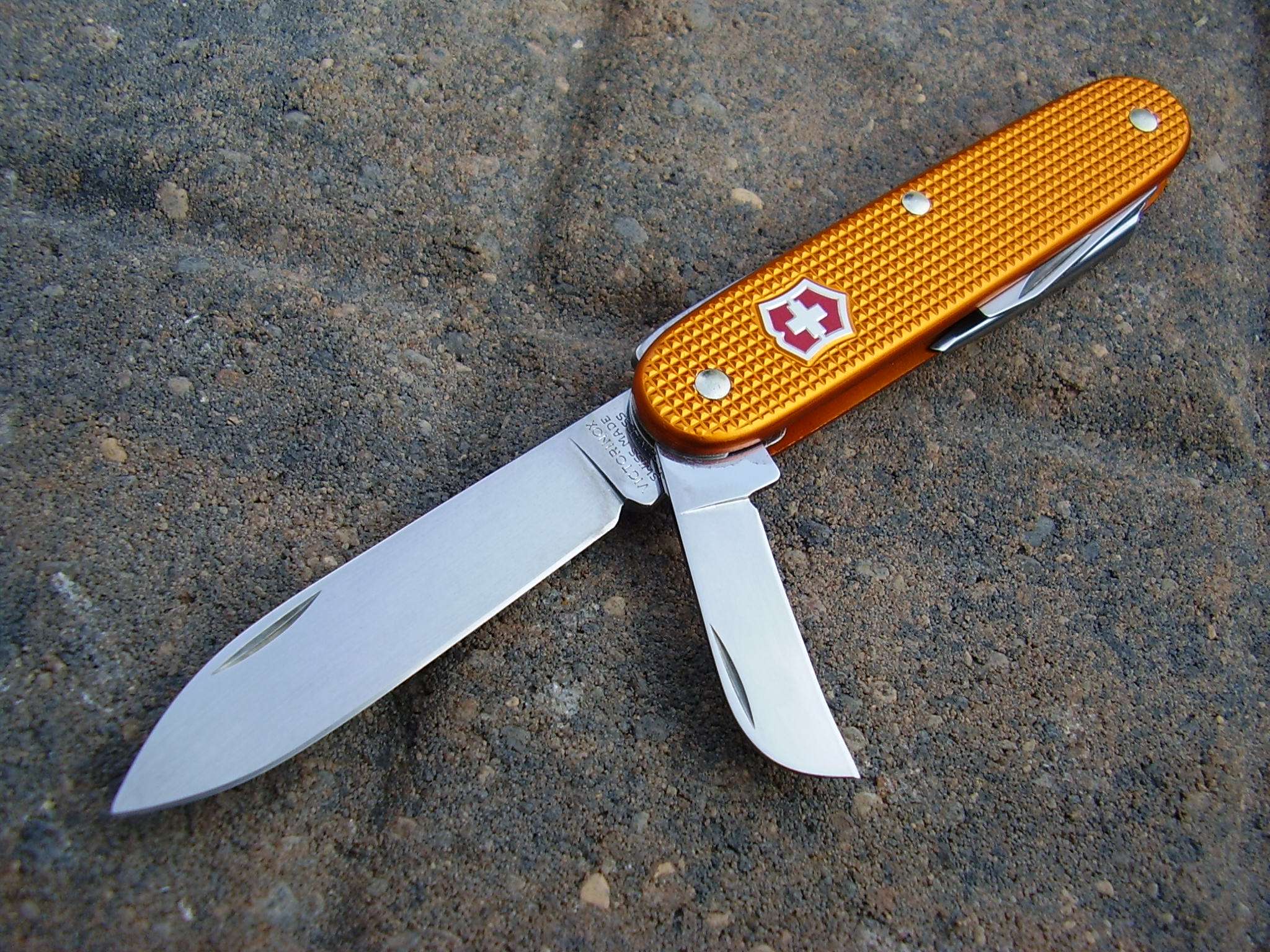 R50MjF.jpg