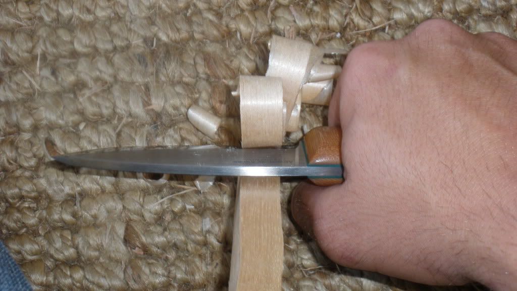 PC271463.jpg