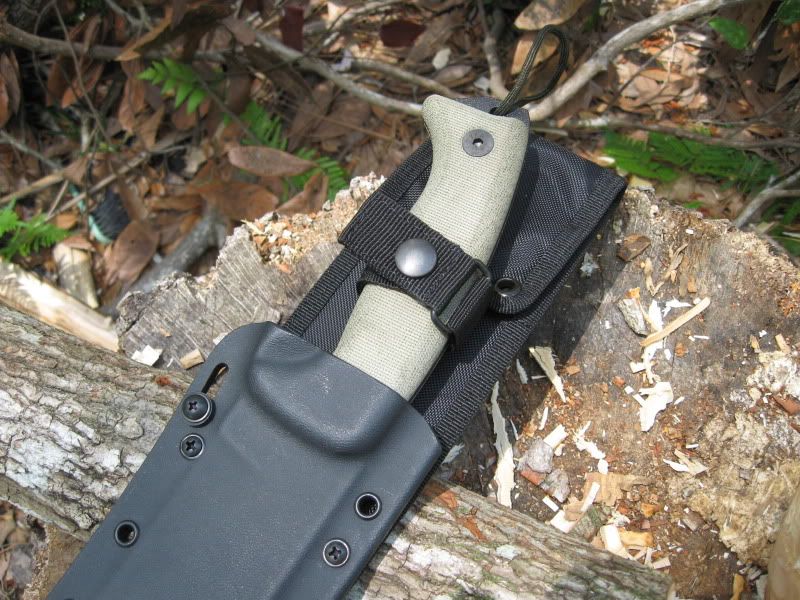 Junglas021.jpg