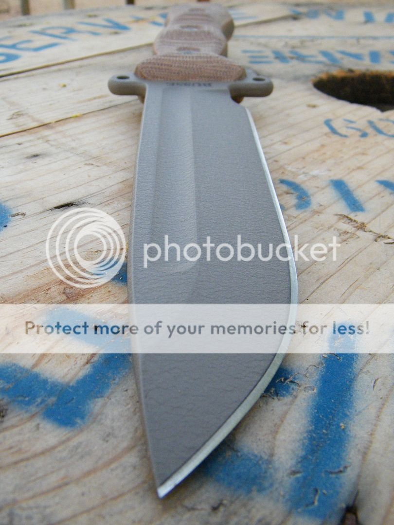 DSCF8900.jpg